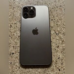 Apple iPhone 13 Pro Max - 256 GB - Gray (Unlocked)